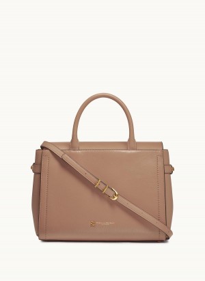 Brown Donna Karan Roslyn Satchel | PH_DK42775